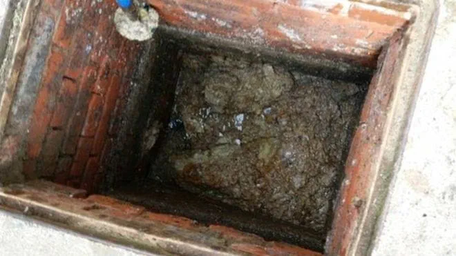 Welshpool Walesfatberg 84143651 fatblock