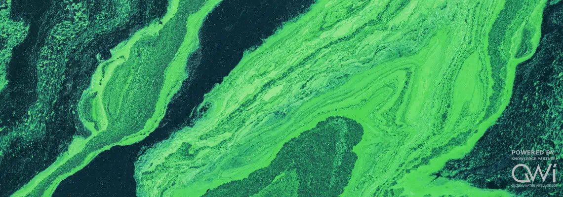 Villain to value: algal wastewater treatment