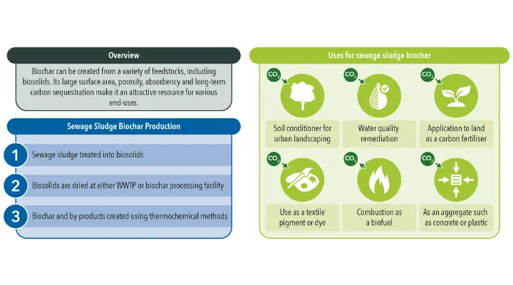 Circular economy value of sludge biorefineries