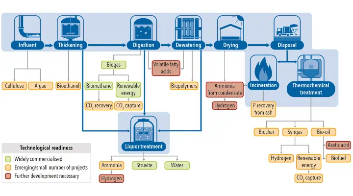 Circular economy value of sludge biorefineries