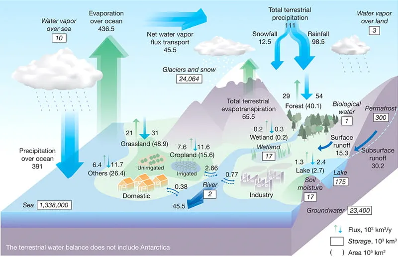 Global hydrology water management